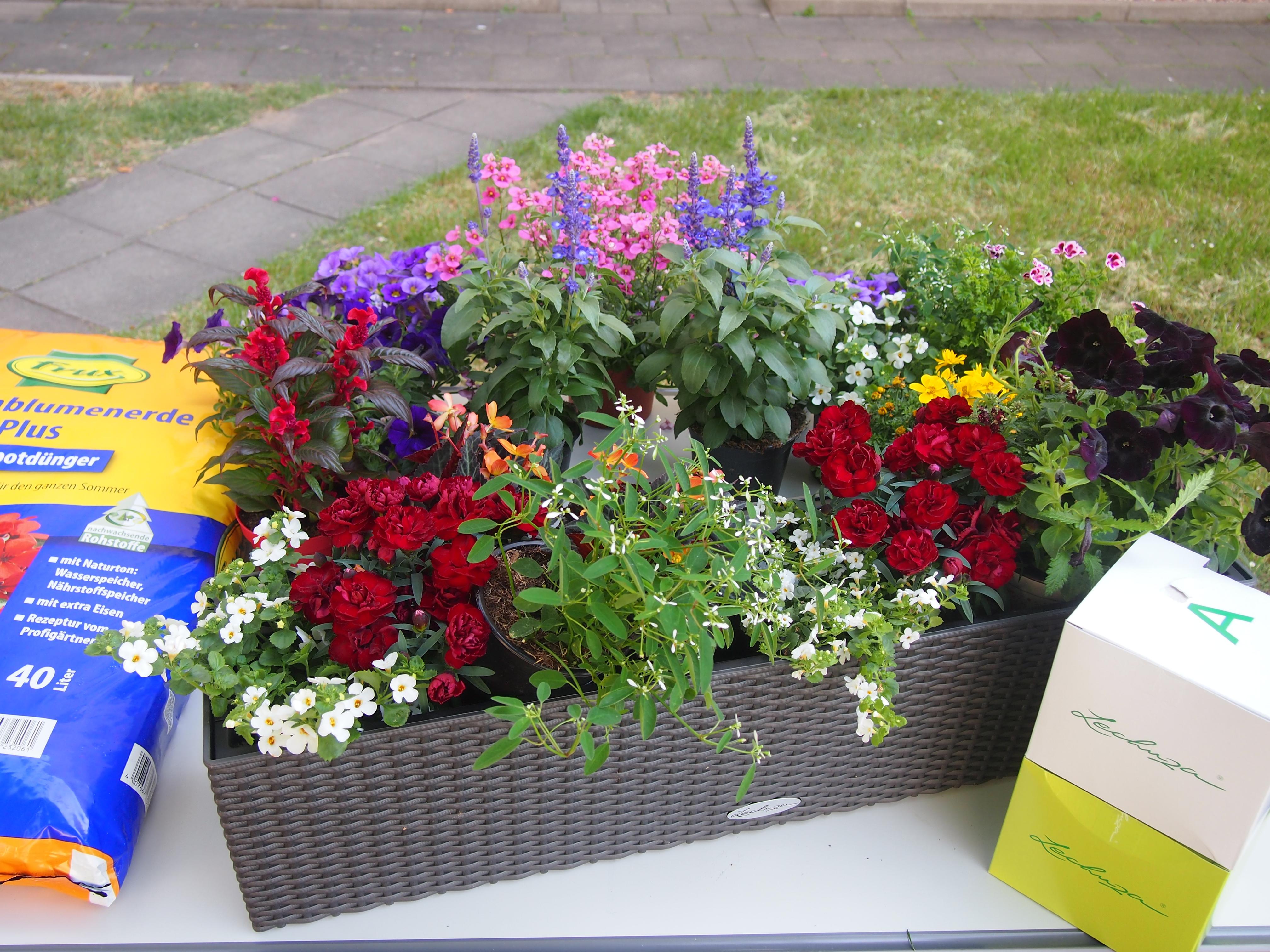 ein üppig bepflanzter Balkonkasten